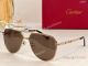 Fashion AAA Replica Santos Cartier Sunglasses ct0389 Silver Frame (4)_th.jpg